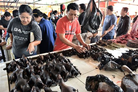 how many bats are eaten in china